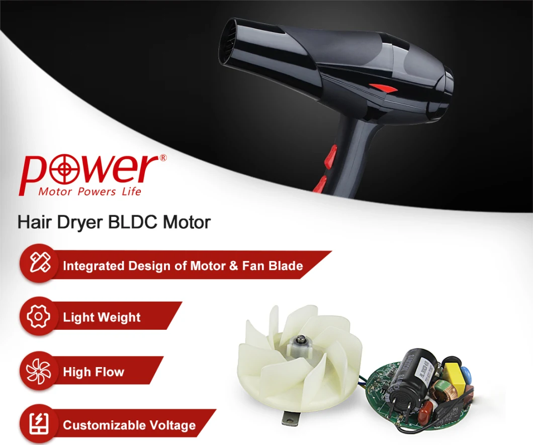 230V BLDC Motor for Hair Dryer