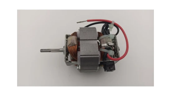 Micro 5418 AC 220V Universal Hair Dryer Motor