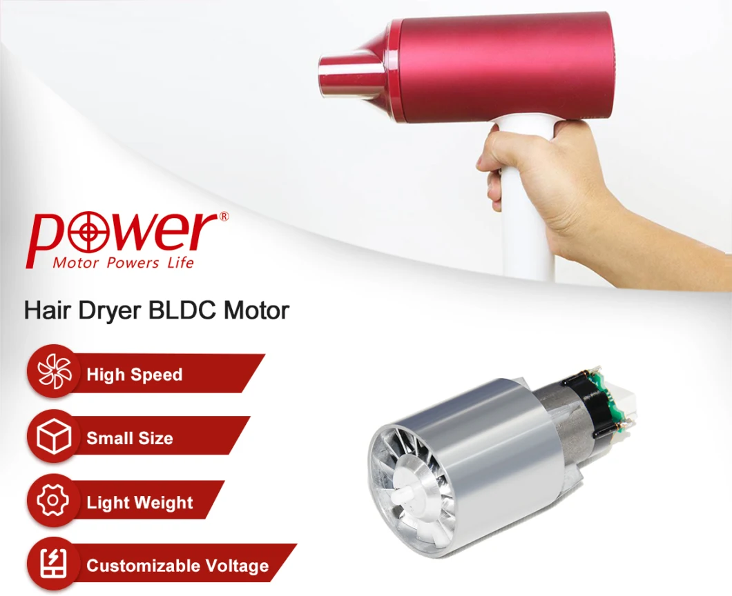 220V High Speed High Efficiency Brushless DC Motor Hair Dryer Electrical BLDC Motor