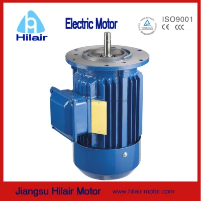 AC Motor for Cycloid Speed Reducer Three Phase Original Manufacturer
