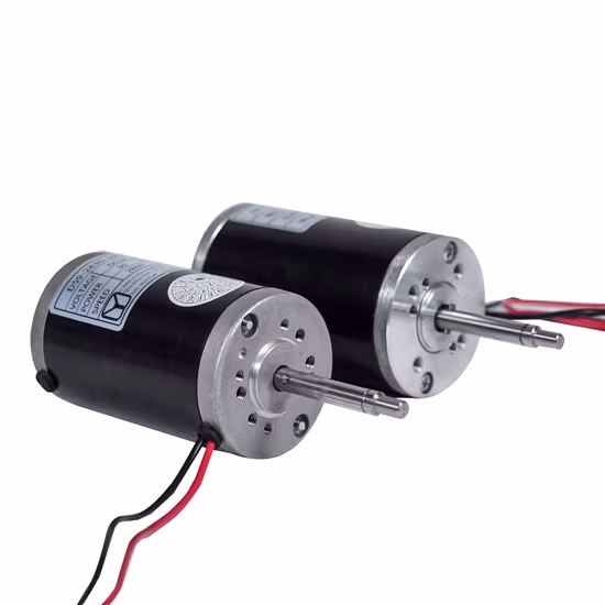 High Speed 12V/24V DC Motor/ DC Brushed Motor/ BLDC Motor for Hair Dryer/Massager/Auto Door Lifting System/Refrigerator Fan/Exhaust Fan/Fan Motor/ DC Pump