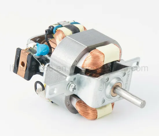 220V High Speed and High Efficiency Brushless DC Motor for Hair Dryer BLDC Motor