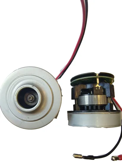 S65-0108c Brushless DC Electric Motor for Vacuum Cleaner