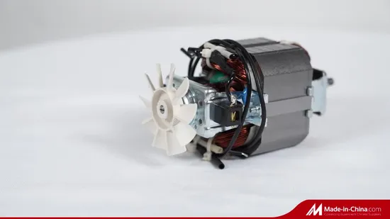 Electric Universal AC Electrical Motor for Hair Dryer/Massage Chair/Baby See Machine