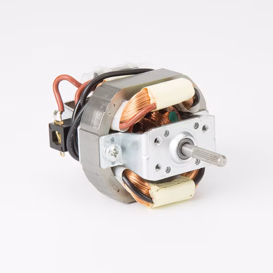 Hot Sales AC Universal Motor for Hair Dryer with Stable Quality and Good Price