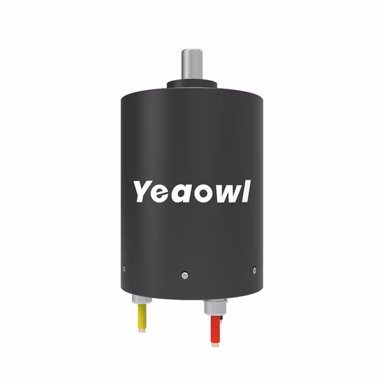 220V High Speed High Efficiency Brushless DC Motor Hair Dryer Electrical BLDC Motor